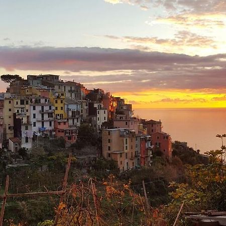 Terre Apartment كورنيجليا المظهر الخارجي الصورة