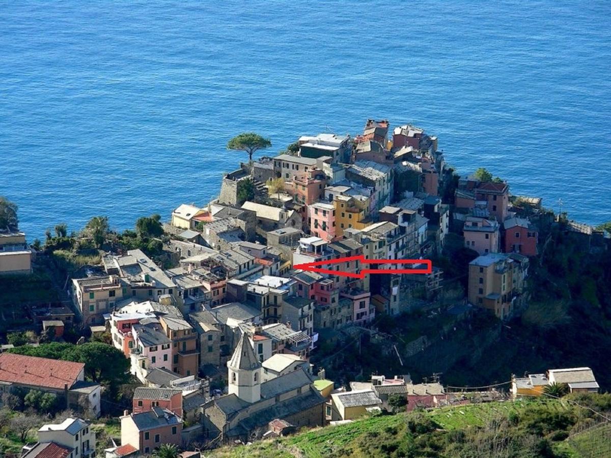 Terre Apartment كورنيجليا المظهر الخارجي الصورة
